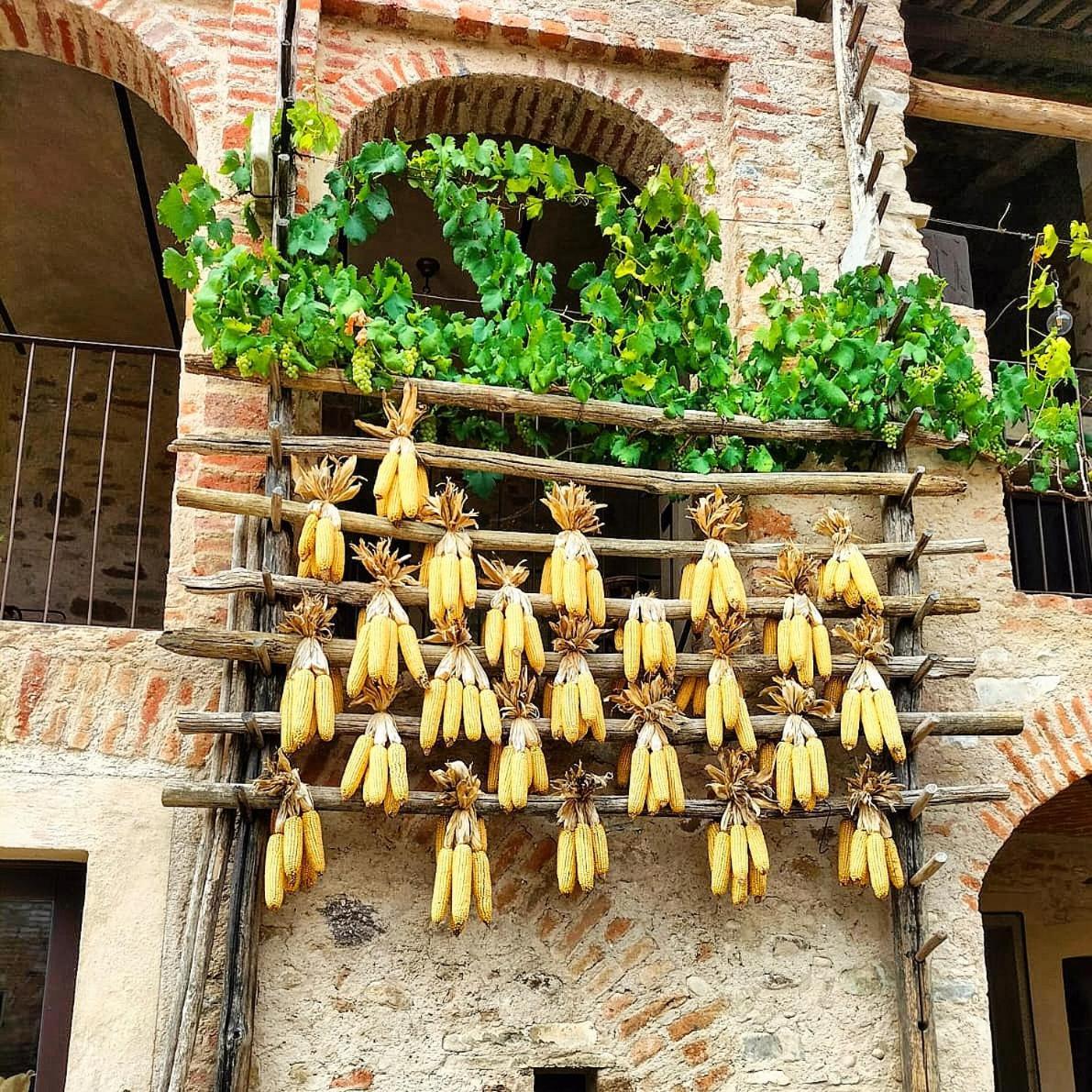 Bed and Breakfast Per Sognare Per Sugne Lesegno Exterior foto